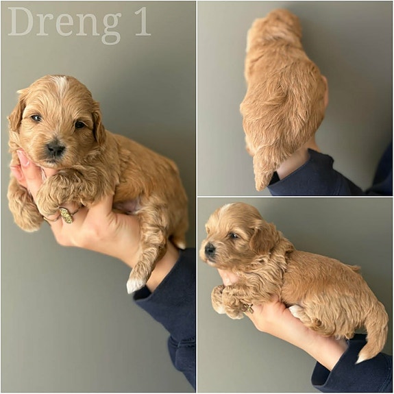 Product image 2 of 9