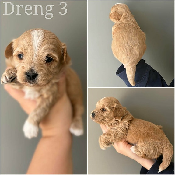 Product image 3 of 9