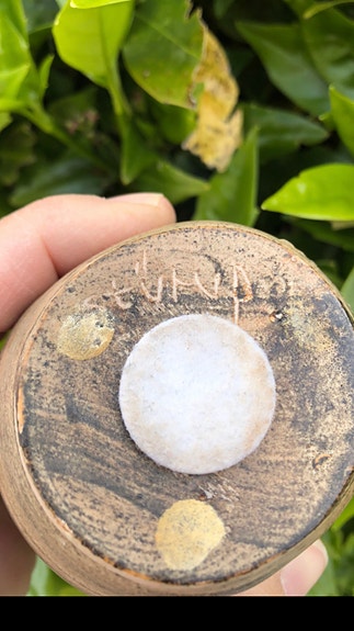 Product image 11 of 15