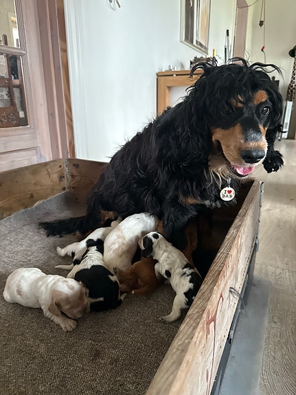 Product image 5 of 9