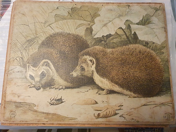 Product image 10 of 10