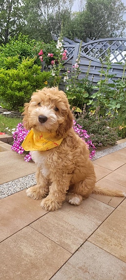 Product image 6 of 9