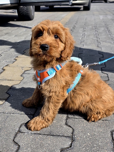 Product image 3 of 9