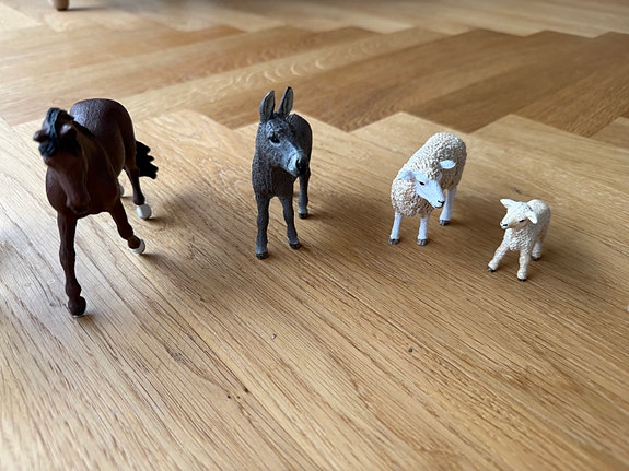 Product image 5 of 10