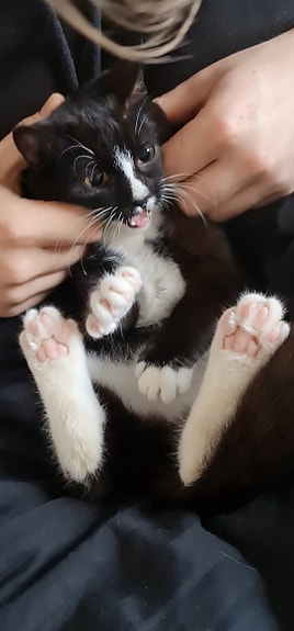 Product image 9 of 10