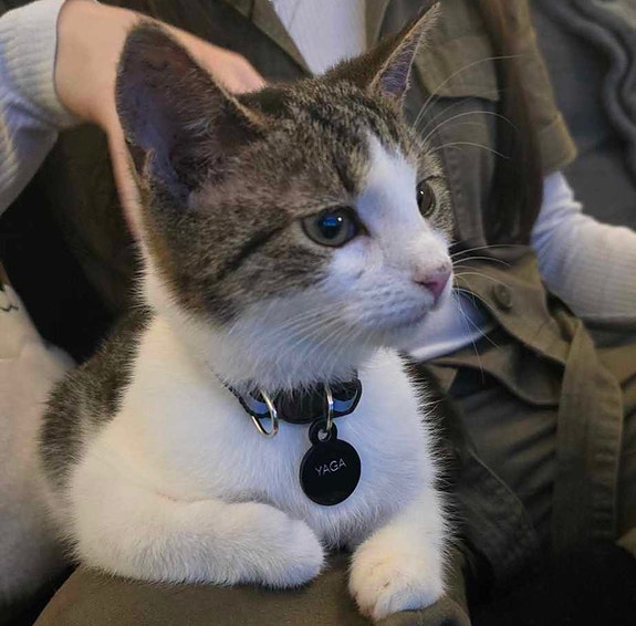 Product image 10 of 10