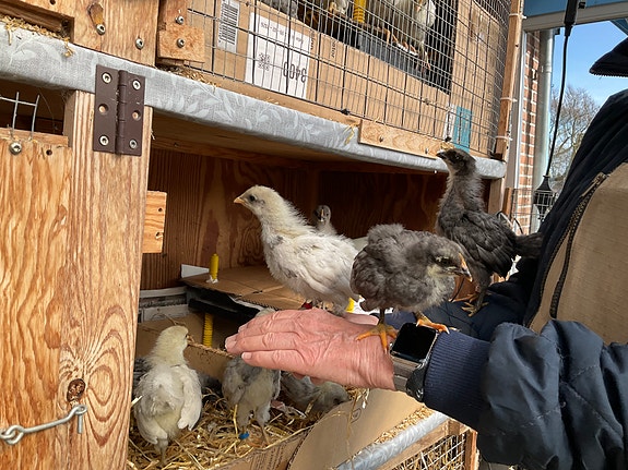 Product image 5 of 10