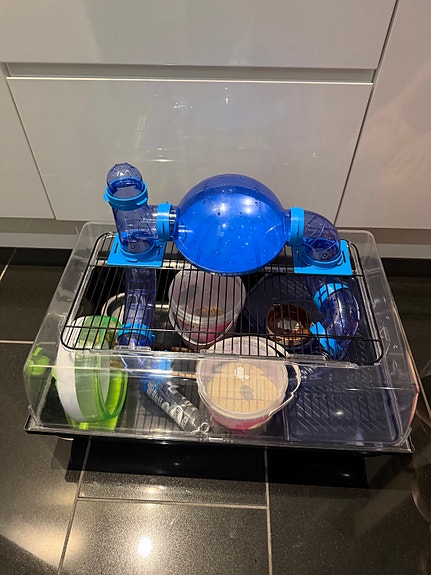 Product image 8 of 10