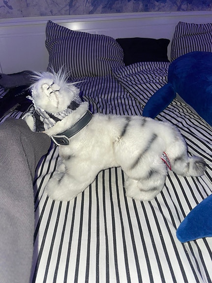 Product image 2 of 8