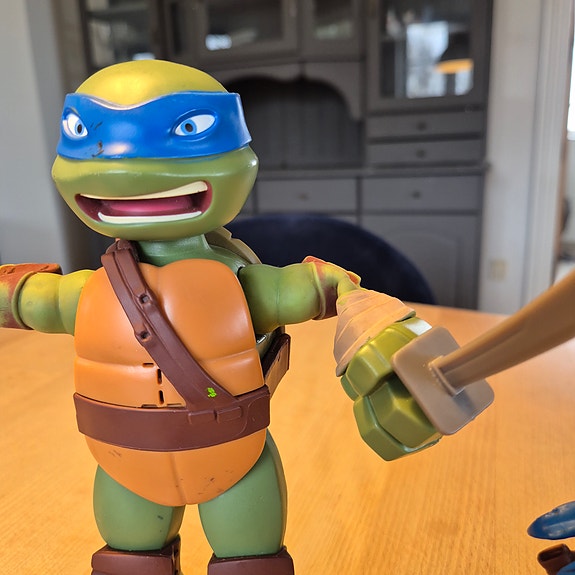 Product image 5 of 10