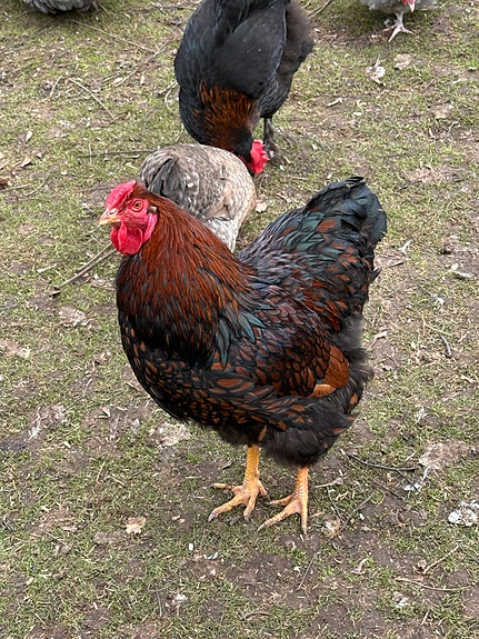 Product image 2 of 7