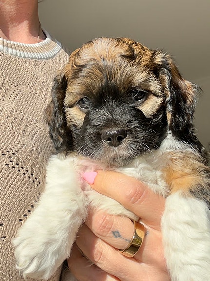 Product image 7 of 10