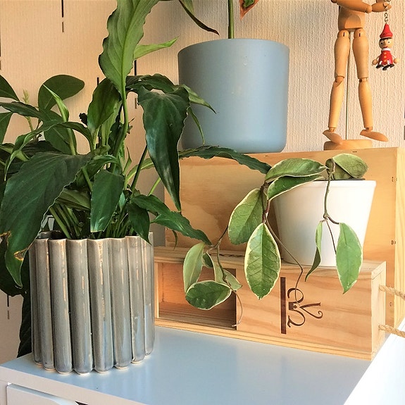 Product image 13 of 13