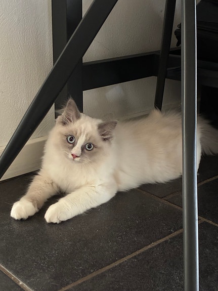 Product image 8 of 10