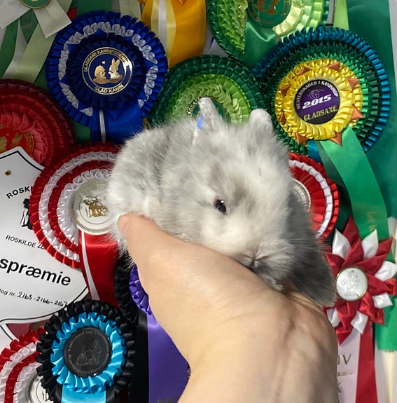 Product image 4 of 9