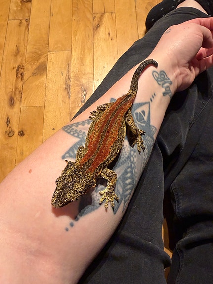 Product image 7 of 10