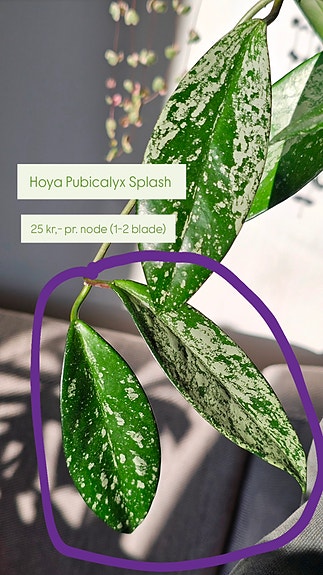 Product image 11 of 11