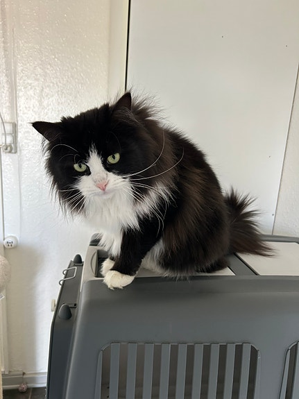 Product image 5 of 8