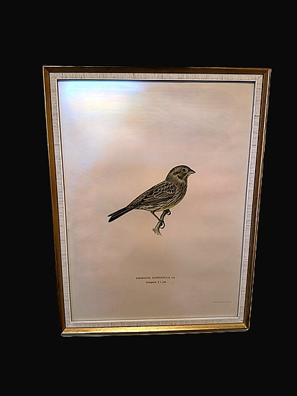 Product image 11 of 15