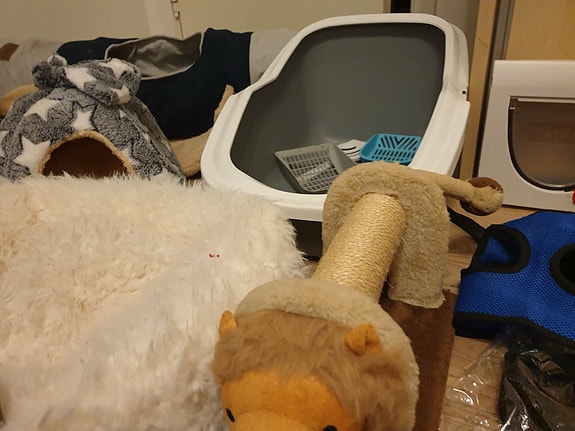 Product image 9 of 10