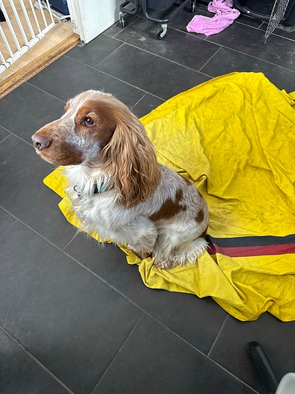 Product image 4 of 9