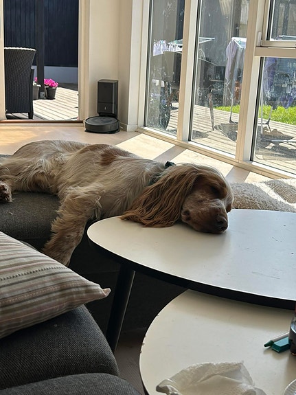 Product image 6 of 9