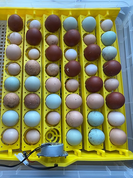 Product image 3 of 9