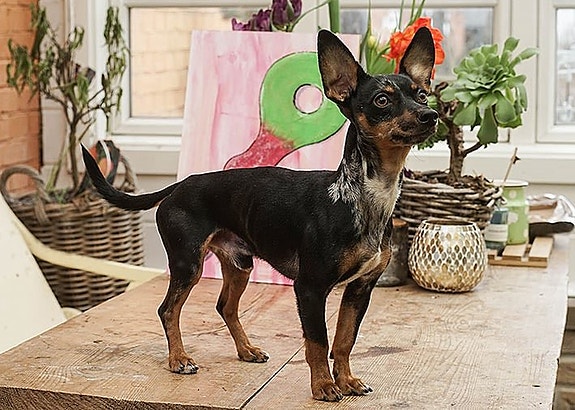 Product image 7 of 8