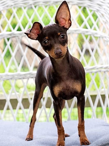 Product image 7 of 8