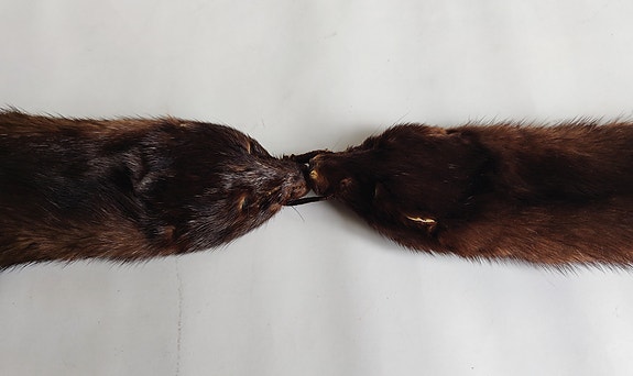 Product image 11 of 16