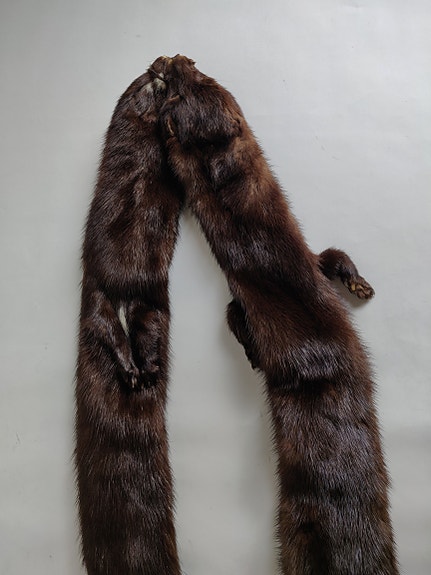 Product image 15 of 16