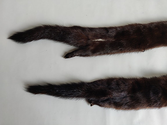 Product image 14 of 16