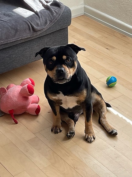 Product image 2 of 4