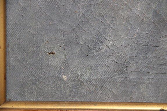 Product image 12 of 12