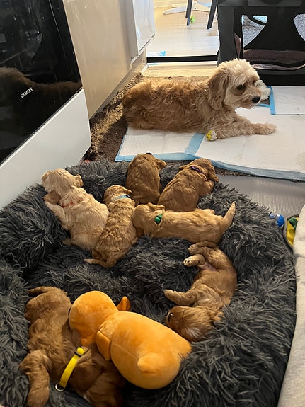 Product image 9 of 10