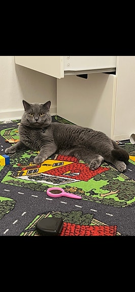 Product image 4 of 8