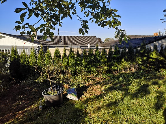 Product image 25 of 33