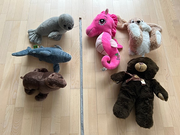 Product image 5 of 10