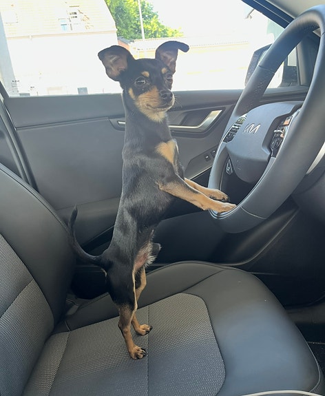 Product image 5 of 6