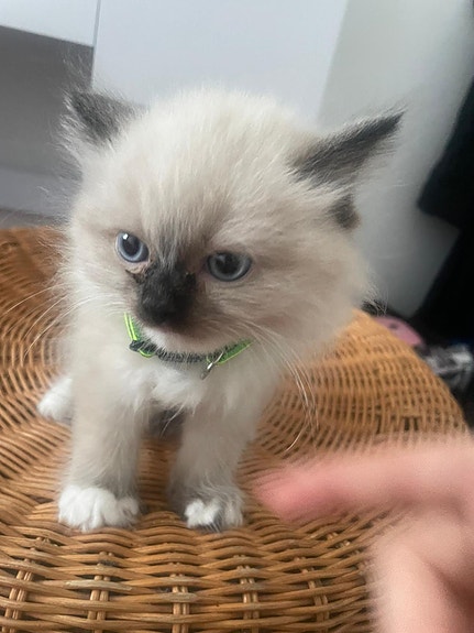 Product image 9 of 10