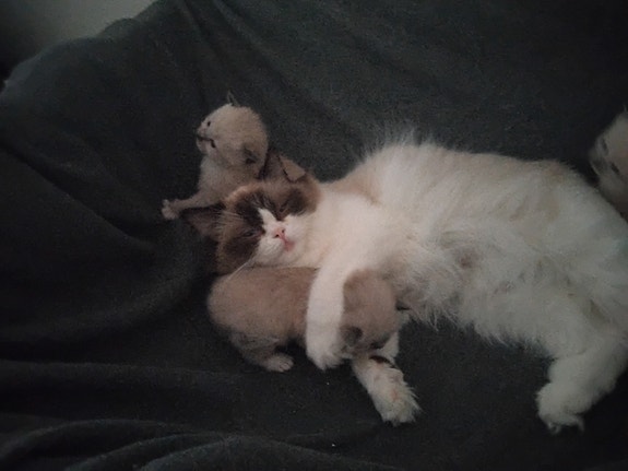 Product image 2 of 10