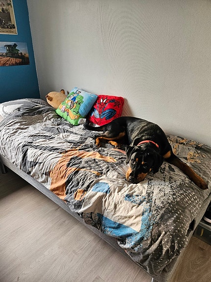 Product image 4 of 8