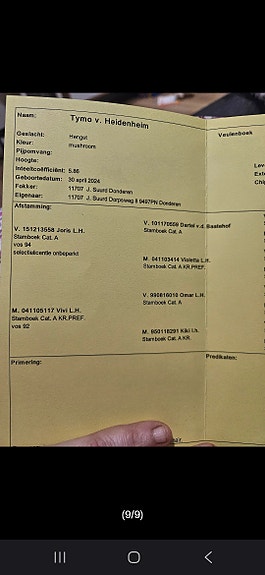 Product image 9 of 9