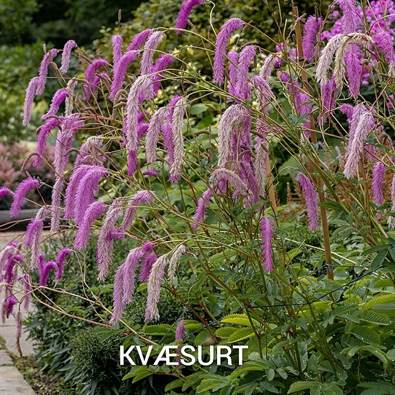 Product image 47 of 82