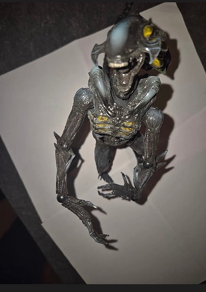 Product image 8 of 10