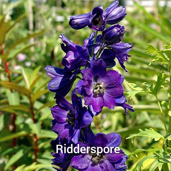 Product image 57 of 76