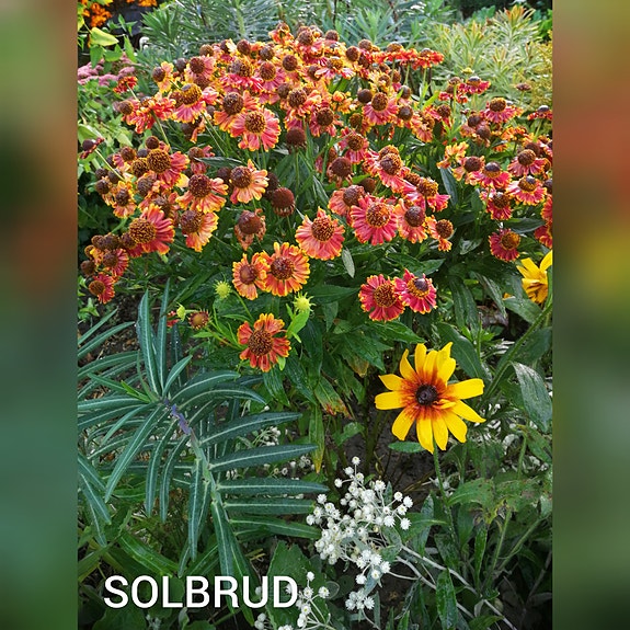 Product image 71 of 76
