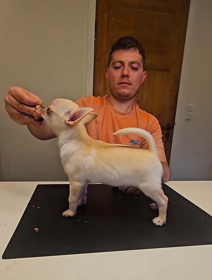 Product image 3 of 10