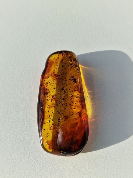 Product image 14 of 19