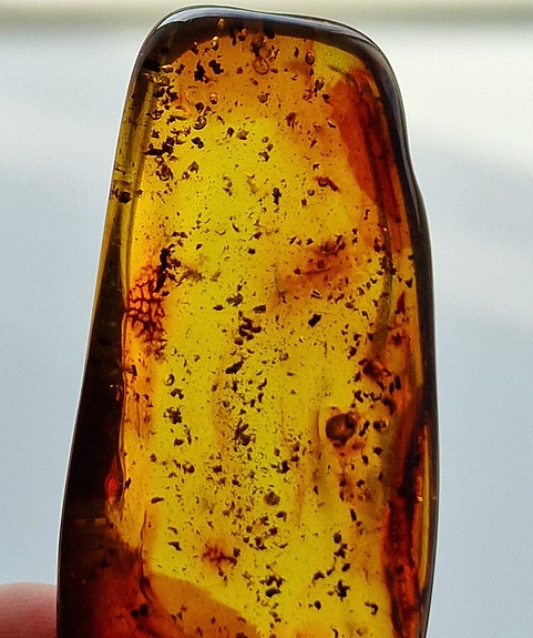 Product image 19 of 19